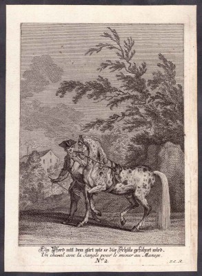 Фигурные конные состязания. Карусель №2, середина XVIII века.