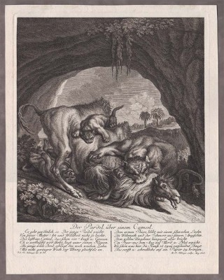 Ридингер. Охота леопардов на верблюда, 1760-е годы.