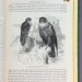  Книга птиц в 4-х томах, 1870-е года. Более 400 иллюстраций!