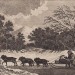 Россия. Камчатка. Зима. Сани, 1780-е года.