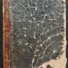 Омулевский. Светлов, его взгляды характер и деятельность, 1870-1871 гг.