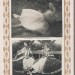 Русский балет [Дягилев, Бакст, Бенуа, Фокин...], 1914 год.