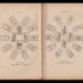 Папюс. Карты Таро. Магия / Оккультизм. 1910-е года.
