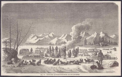 Стоянка собачьих упряжек в Восточной Сибири.