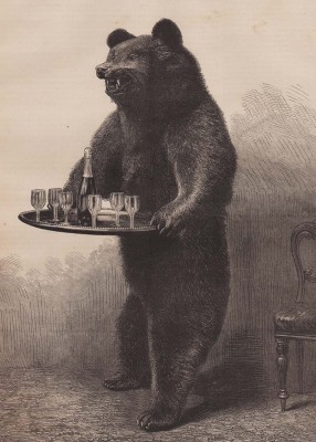 Русский ресторан. Неуклюжий официант, 1874 год.