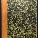 Вызинский. Папство и Священная Римская империя в XIV и XV столетии, 1857 год.