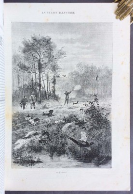 Иллюстрированная охота, 1888 год.