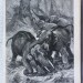 Иллюстрированная охота, 1888 год.