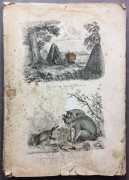 Дюмон-Дюрвиль. Всеобщее путешествие вокруг света, 1835 год.