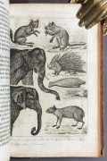 Естественная история животных, 1839 год.