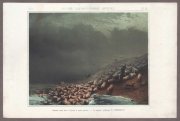 Айвазовский. Погибель стада овец в Крыму во время урагана, 1861 год.
