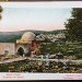  Израиль. Цветы и виды Святой Земли, 1900-е года.