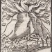 Карта Африки второй половины XVI века.