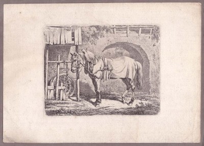 Адам Кляйн. Лошадь, 1812 год.